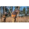Image 1 : Quail Hunt with Georgia DNR Commissioner Mark Williams for Three Hunters at Southern Woods Plantatio