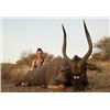 Image 1 : 5-Day Nyala Bull Hunt for Two People in South Africa with Numzaan Safaris