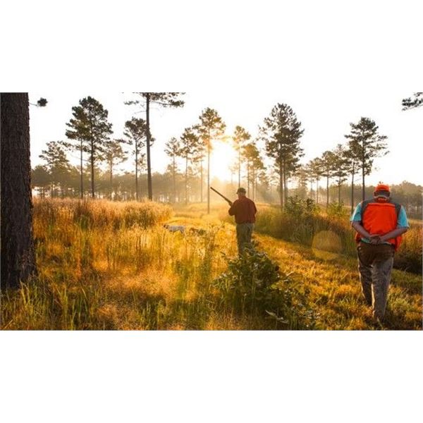 Half-Day Quail Hunt for Two People at The Beretta Shooting Grounds