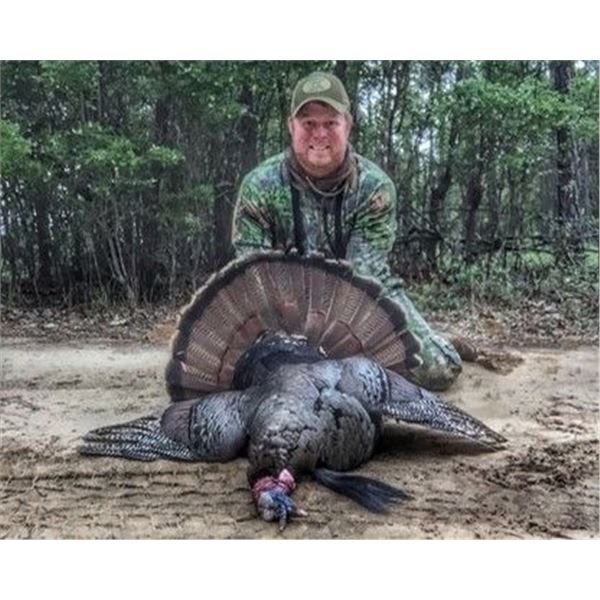 2-Day Georgia Turkey Hunt for One Hunter with Blake Rice of TSS Shot and Sweetwater Calls