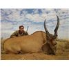 Image 1 : 10-Day Hunt in South Africa with Adansonia Safaris for Eland Bull (or Trophy Fee Credit)