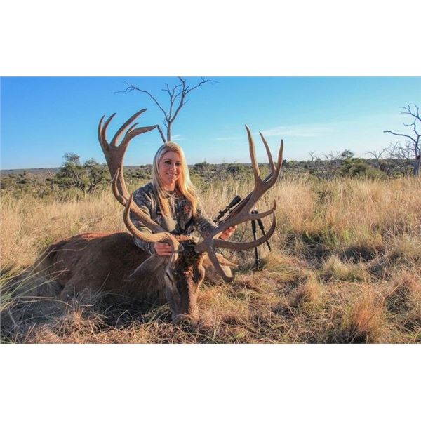 5-Day/6-Night Argentina Hunt for Red Stag and European Boar for Two Hunters