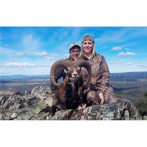 4-Day Hunt in Spain for One Hunter with Spanish Mountain Hunts for Iberian Red Deer, Fallow Deer, or