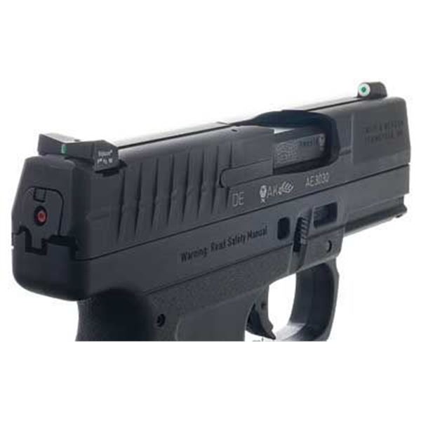 XS DXT BIG DOT WALTHER PPS/PPS M2