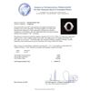 Image 5 : 14KT White Gold 3.57 ctw Sapphire and Diamond Ring