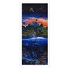 Image 1 : "Oasis" Limited Edition Mixed Media by Robert Lyn Nelson. Numbered and Hand Sign