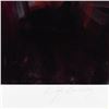 Image 2 : Dan Gerhartz, "Nouveau" Limited Edition, Numbered and Hand Signed with Letter of