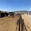 Image 1 : ID Dairies/Ranches - 93 Cows - Burley, ID