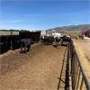 Image 4 : ID Dairies/Ranches - 80 Cows - Burley, ID