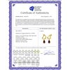 Image 2 : Genuine 4.5 ctw Garnet Earrings 14KT Yellow Gold - REF-42H6X