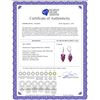 Image 2 : Genuine 20 ctw Amethyst Earrings 14KT White Gold - REF-51N8R