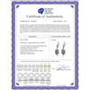 Image 2 : Genuine 2.12 ctw Blue Topaz & Peridot Earrings 14KT White Gold - REF-42K4V