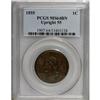 Image 3 : 1855 1C Upright 5s Brown MS64 PCGS