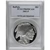 Image 1 : 2001-P $1 Buffalo Silver Dollar Deep Cameo PR69 PCGS
