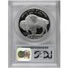 Image 2 : 2001-P $1 Buffalo Silver Dollar Deep Cameo PR69 PCGS