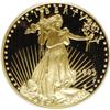 Image 1 : 1993-P G$25 Half-Ounce Gold Eagle Deep Cameo PR69 PCGS