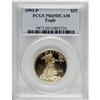 Image 3 : 1993-P G$25 Half-Ounce Gold Eagle Deep Cameo PR69 PCGS
