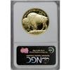 Image 2 : 2007-W $50 Buffalo Deep Cameo PR69 NGC
