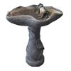 Image 1 : Bird Bath with Frog