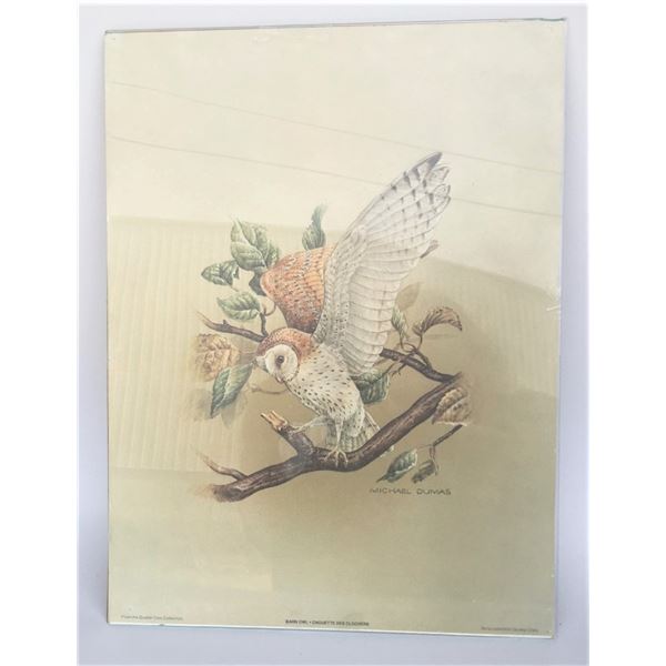 Michael Dumas Quaker Oats Collection Print 12x16 - Barn Owl