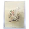 Image 1 : Michael Dumas Quaker Oats Collection Print 12x16 - Barn Owl