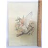 Image 2 : Michael Dumas Quaker Oats Collection Print 12x16 - Barn Owl