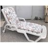 Image 1 : Lawn Chair with Cushion