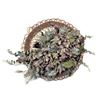 Image 1 : Wall Hanging, Approximately 12" diameter