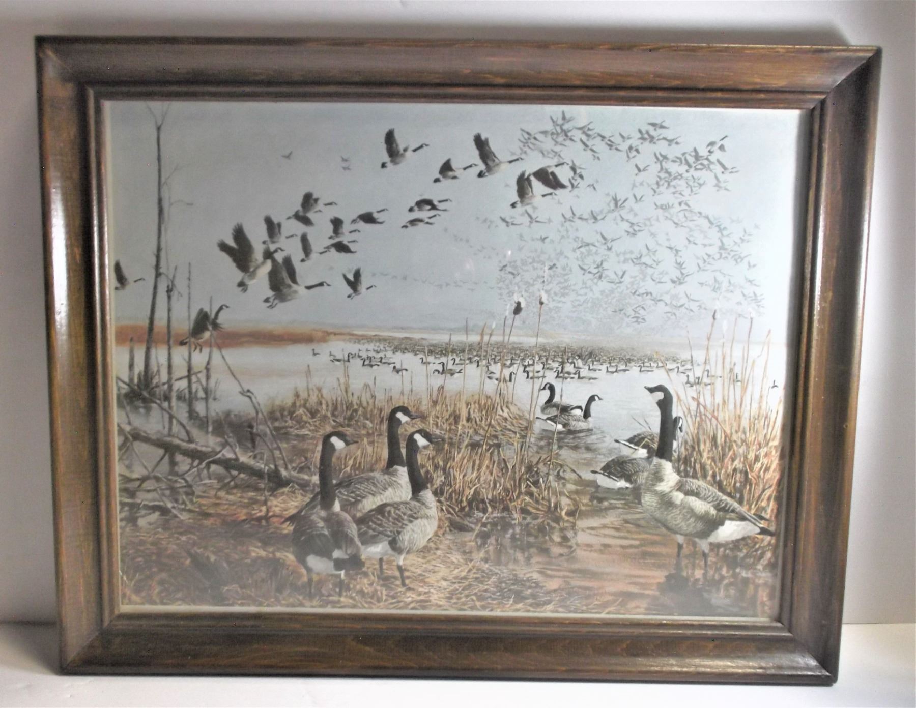 Framed Artwork Canada