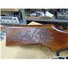 Image 7 : BB gun