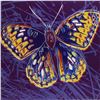 Image 1 : Andy Warhol- Screenprint in colors "San Francisco Silverspot"