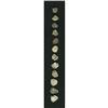 Image 1 : Bolivia Potosi cob 1/2 Real Assortment, twelve