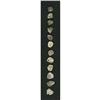 Image 2 : Bolivia Potosi cob 1/2 Real Assortment, twelve