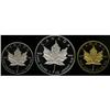 Image 1 : Canada Elizabeth II Three Piece 1989 Proof Set,