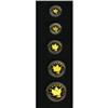 Image 3 : Canada Elizabeth II gold Maple Leaf Set 1999,