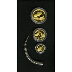South Africa Republic gold 3-piece fractional