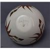 Image 8 : HOPI INDIAN POTTERY JAR (WHITE SWAN )