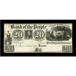 Toronto, UC- The Bank of the People $20 Ch.