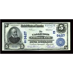 Callicoon, NY - $5 1902 Plain Back Fr. 600 The