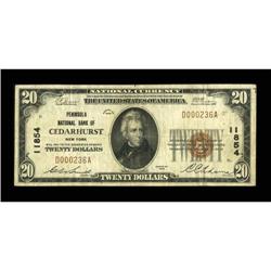 Cedarhurst, NY - $20 1929 Ty. 1 Peninsula NB Ch.