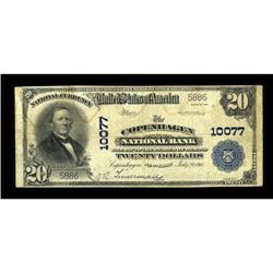 Copenhagen, NY - $20 1902 Plain Back Fr. 654 The