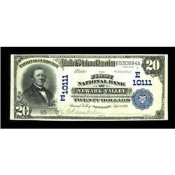 Newark Valley, NY - $20 1902 Date Back Fr. 646