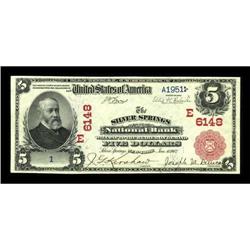 Silver Springs, NY - $5 1902 Red Seal Fr. 587