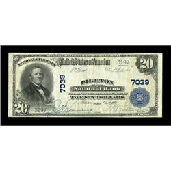 Piketon, OH - $20 1902 Plain Back Fr. 650