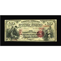 Catasauqua, PA - $20 1875 Fr. 431 The NB of