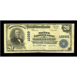 Mineral Wells, TX - $20 1902 Plain Back Fr. 661