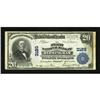 Image 1 : Birmingham, AL - $20 1902 Plain Back Fr. 650 The