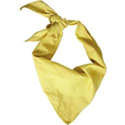 Audie Murphy Scarf From "40 Guns to Apache Pass"