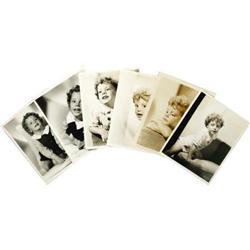 Mother Carey's Chickens Archive