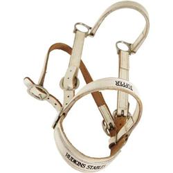 William Boyd Training Bridle for Topper. This wh